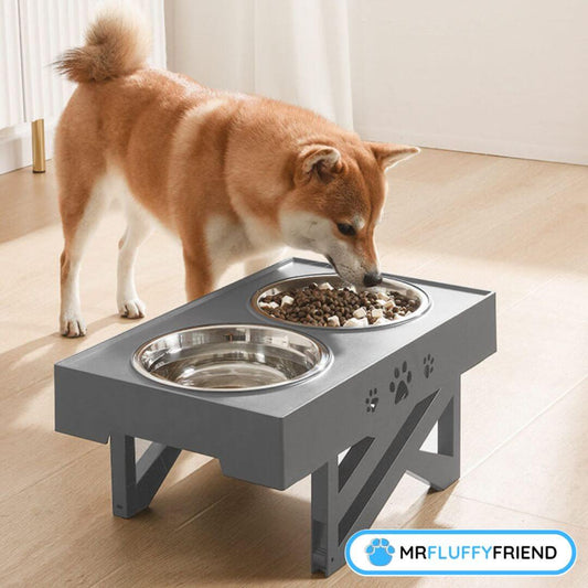 Meilleures gamelles pour chiens