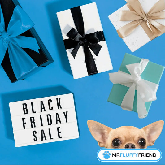 Les meilleurs bons plans du Black Friday 2025 pour un panier pour chien