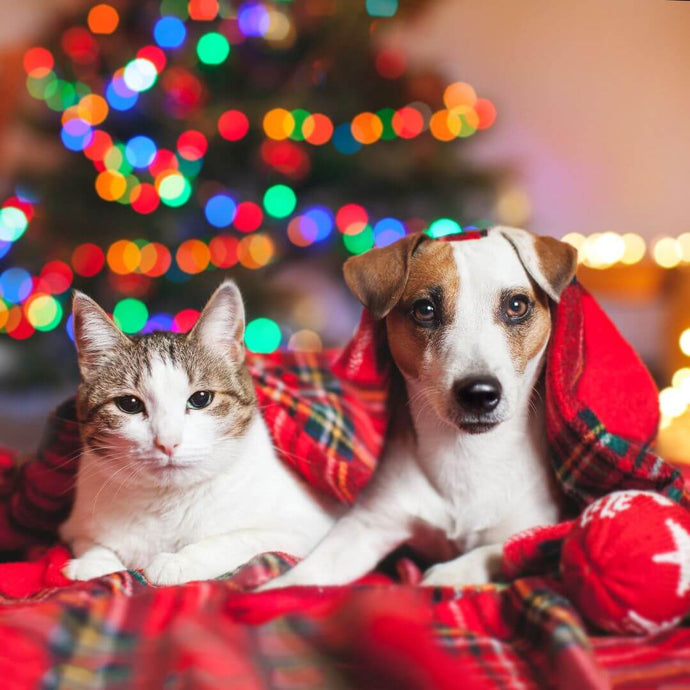 Idées de Cadeaux de Noël Pour Nos Poilus