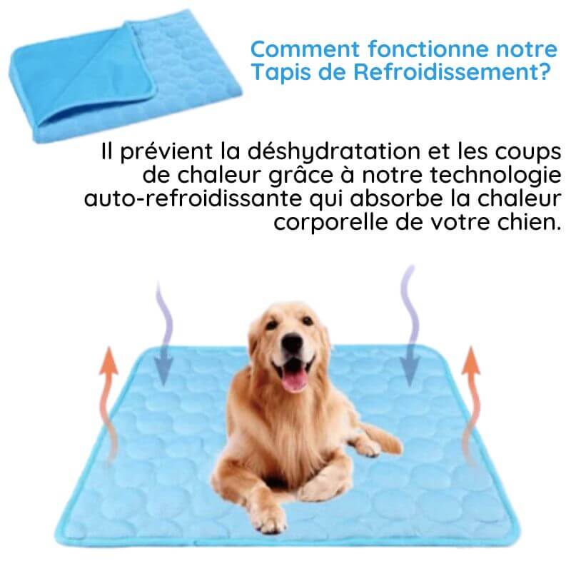 MrFluffyFriend™ - Tapis Refroidissant Ultime pour les Animaux