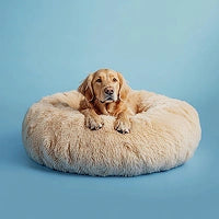 Photo of Coussin Anti-Stress pour Chien