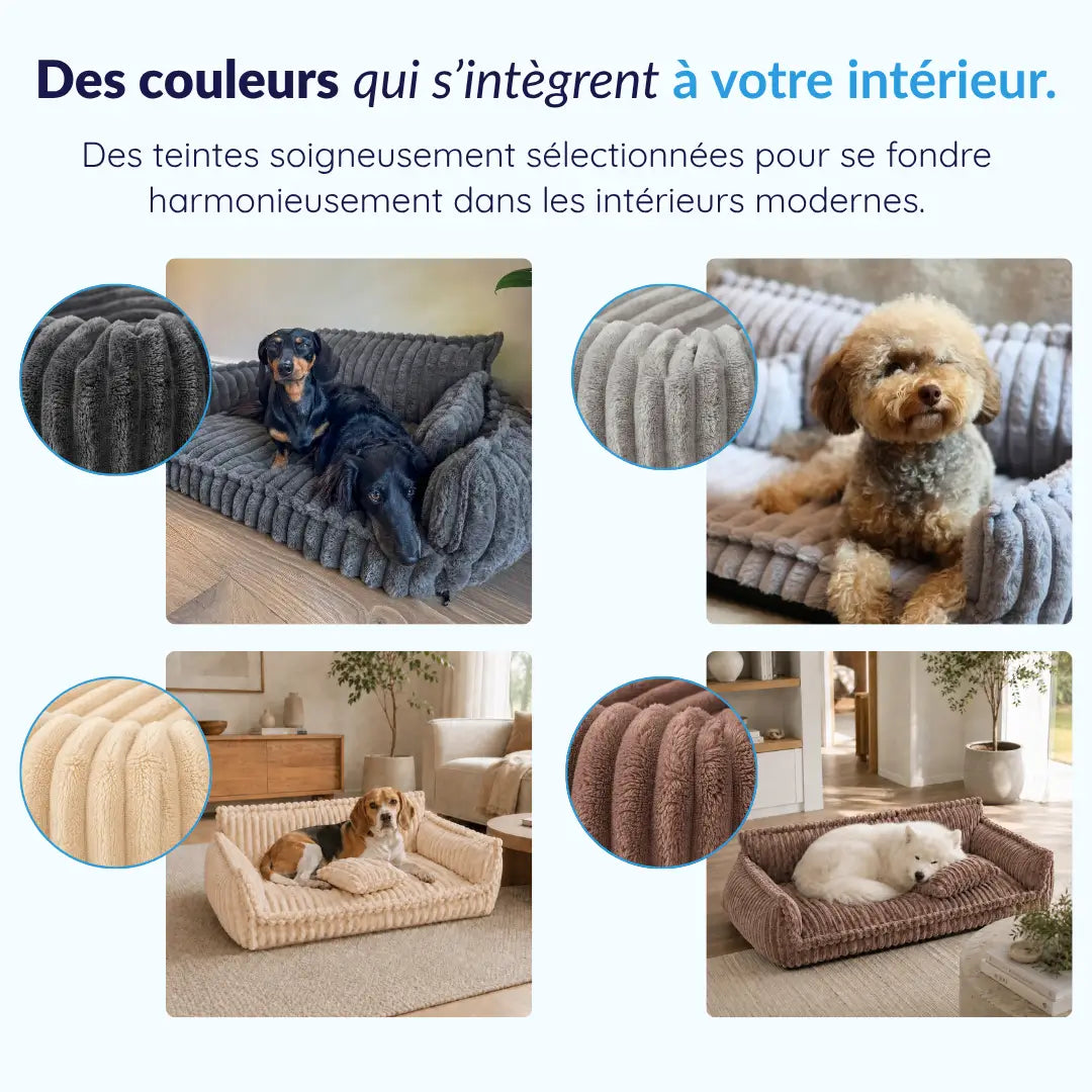 MrFluffyFriend® - Canapé Design Pour Chien