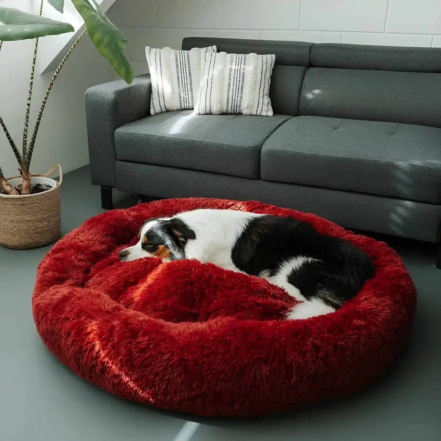 MrFluffyFriend® - Coussin Anti-Stress Pour Chien