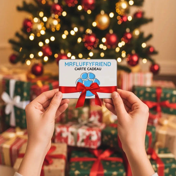 MrFluffyFriend Carte Cadeau