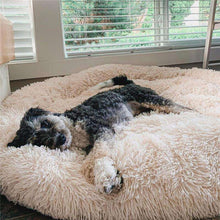 Charger l&#39;image dans la galerie, MrFluffyFriend™ - Coussin Anti-Stress Pour Chien
